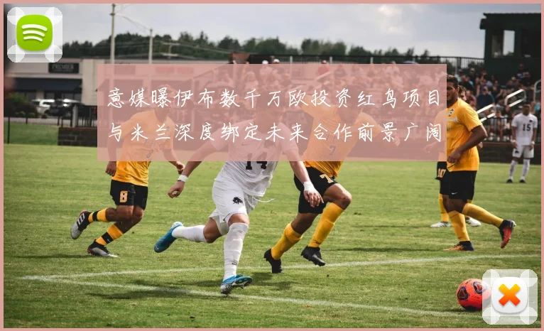 意媒曝伊布数千万欧投资红鸟项目与米兰深度绑定未来合作前景广阔