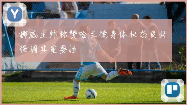 挪威主帅称赞哈兰德身体状态良好强调其重要性